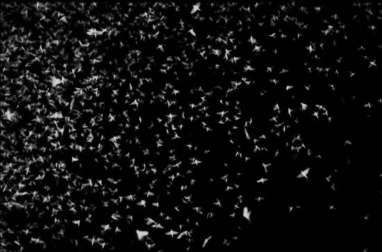 The ja ja nein nein living room sculpture