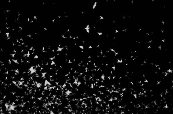 The ja ja nein nein living room sculpture