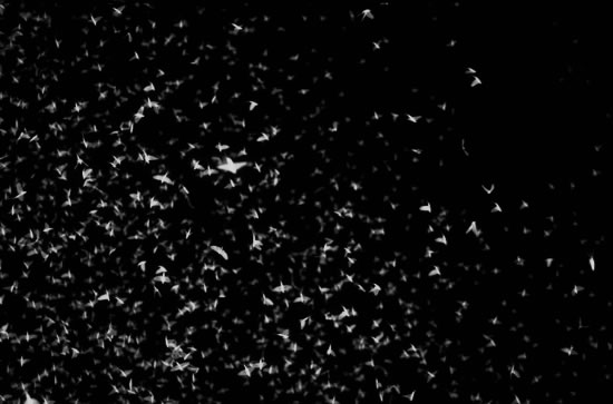 The ja ja nein nein living room sculpture